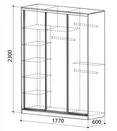Шкаф-купе Бассо 1-600 бабочки Дуб сонома_2