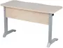 Парта двухместная эргономичная (рост №6) Серый/Металл Серый_3682501