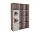Стеллаж с фасадами ДМ 12 Ясень шимо темный/Оранжевый_256861