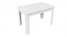 Стол раздвижной Промо тип 4 Белый/Белый_253233